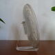 Plate with crystal heel engraved Saint Louis / Baccarat 19th century - 21.5 cm