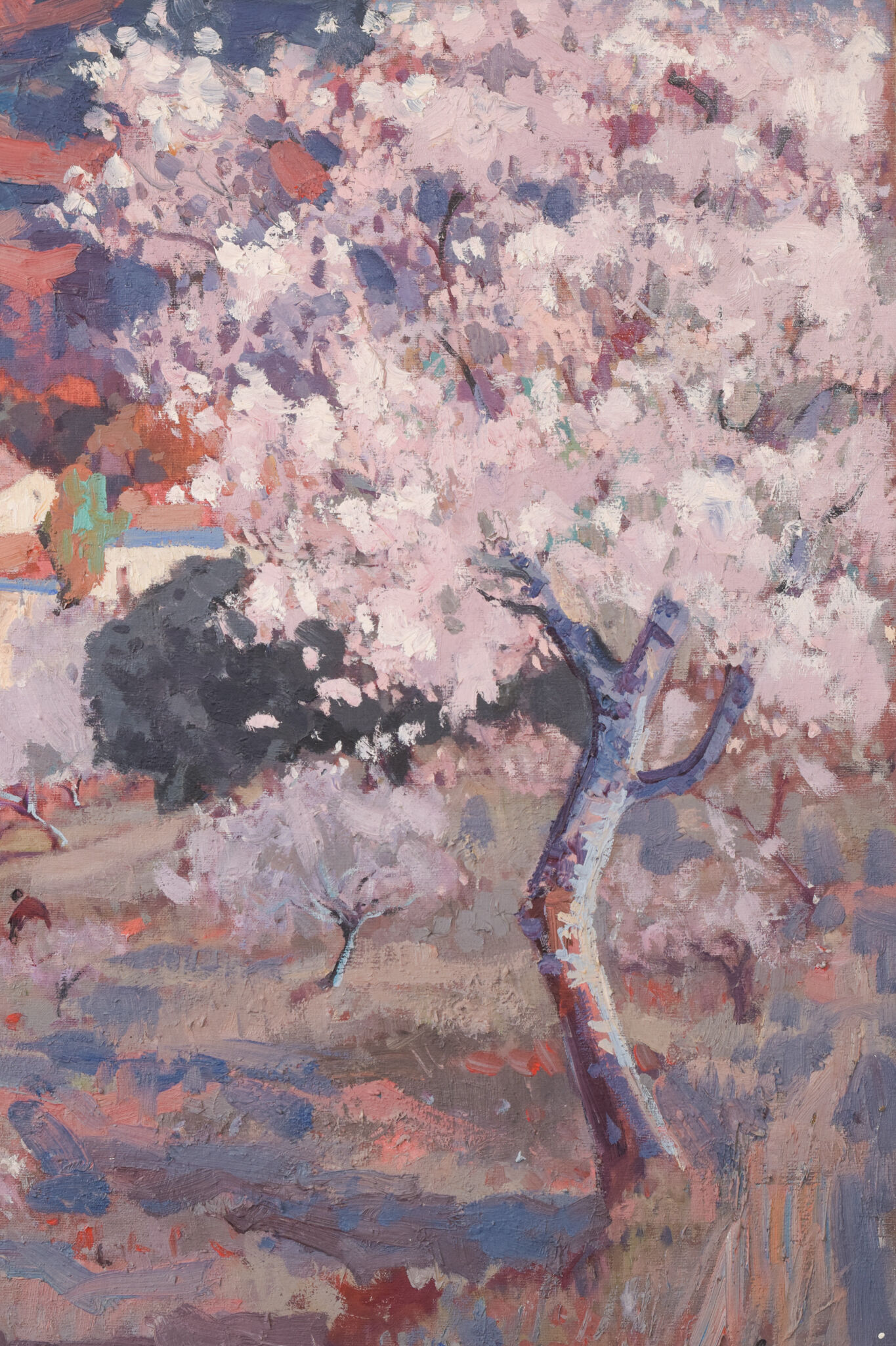 Josep Mas Pou - Almond Blossom Landscape