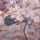 Paysage de fleurs d’amandier
