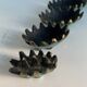 Vintage ashtrays 1950 hedgehogs by Walter Bosse for Hertha Baller