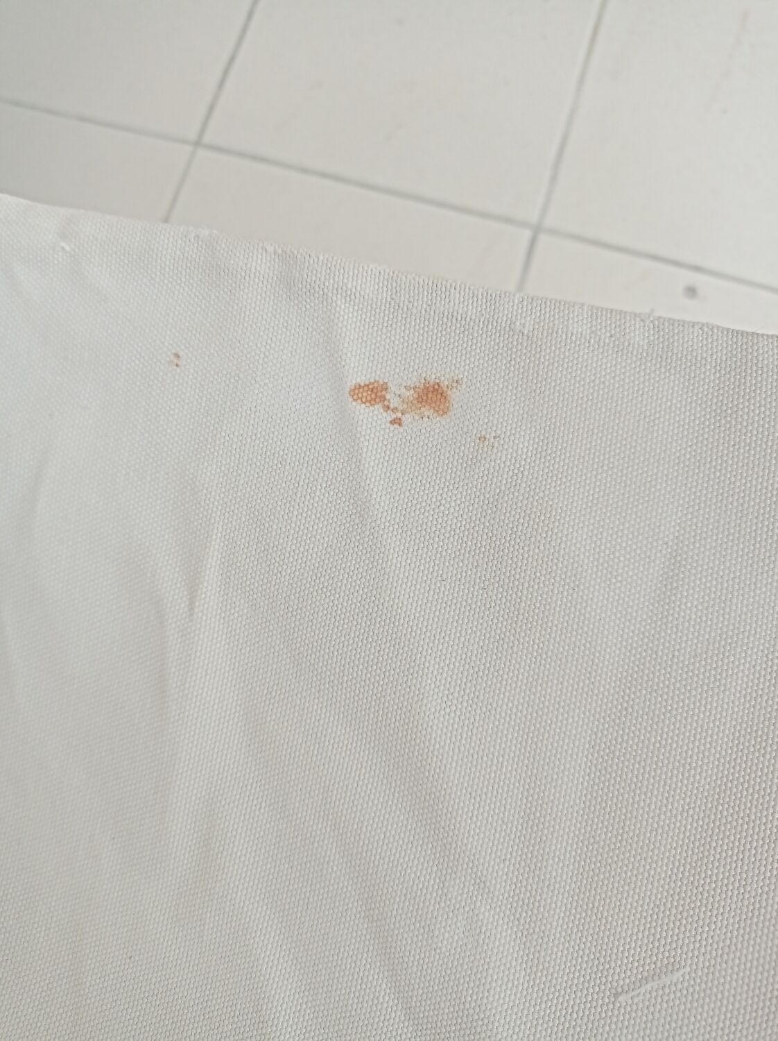 Pair of director's chairs