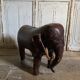 Elephant Dimitri Omersa
