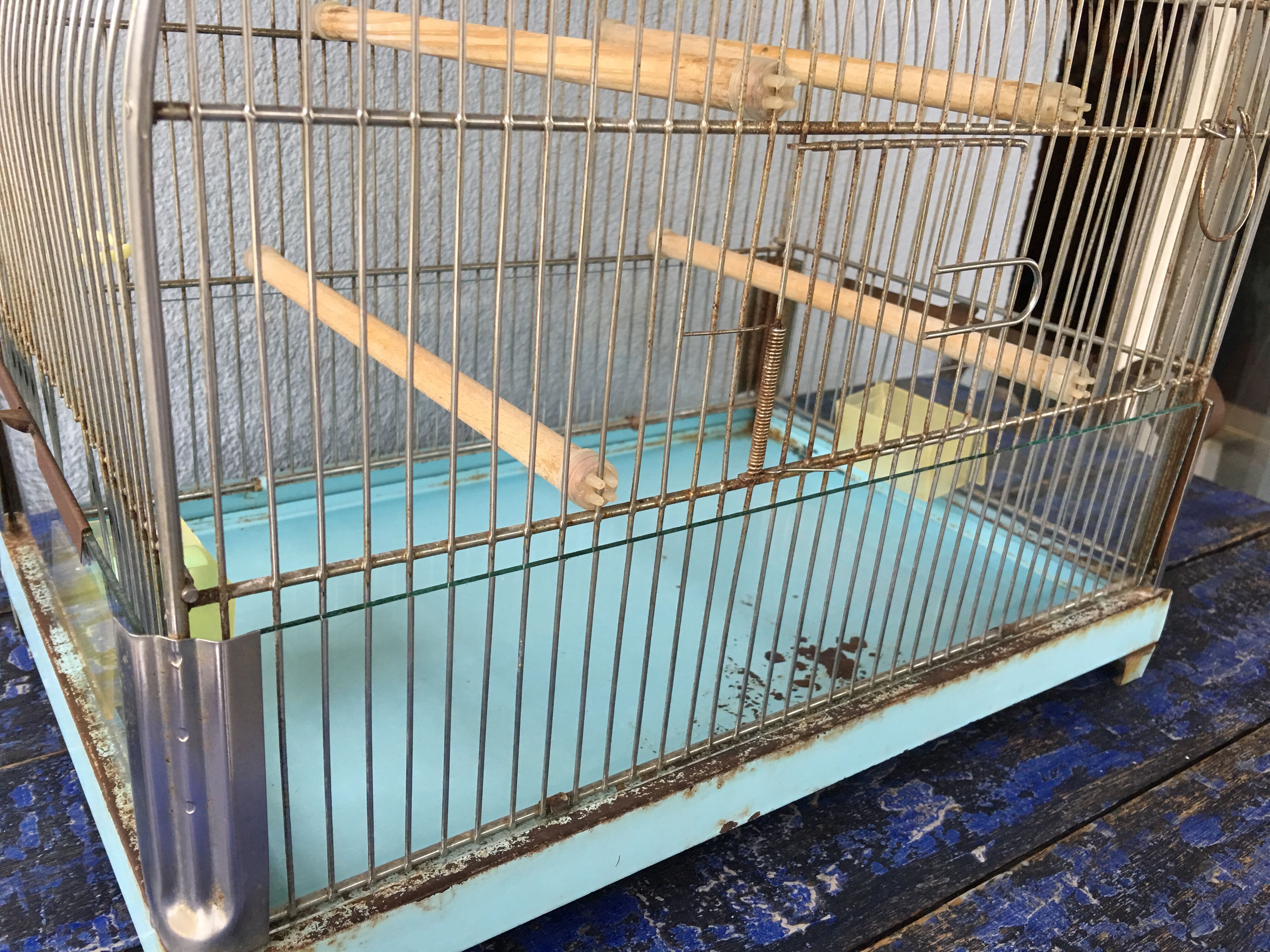 Vintage birdcage