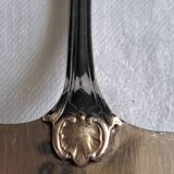 Silver metal cake peeler.