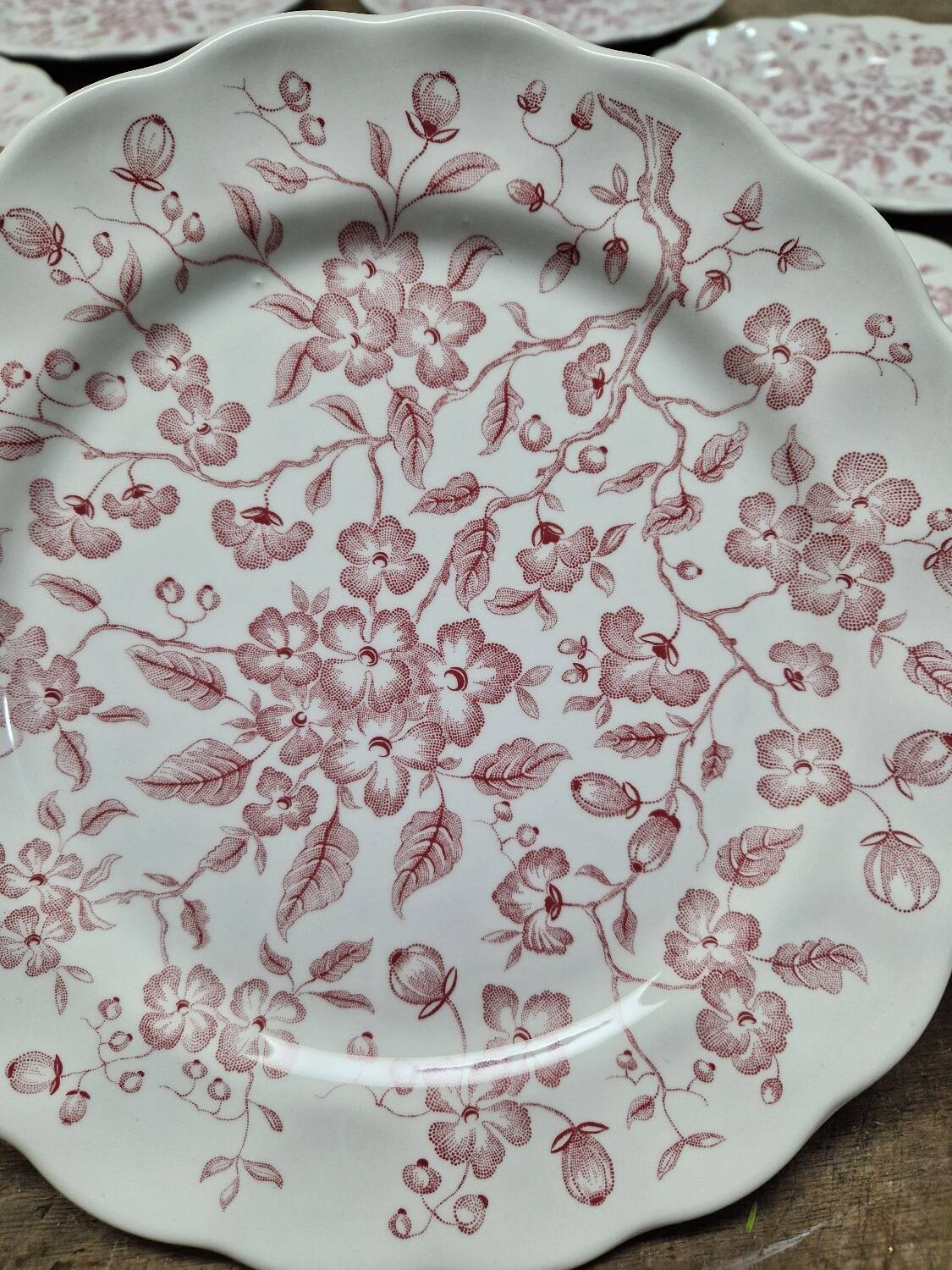 Set of 11 flat plates Nuova Fontebasso Made in Italy Floral pattern