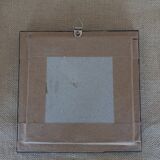 Naturalized butterfly frame