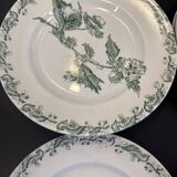 Set of 12 green ironstone flat plates