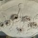 Louis XVI pediment with plaster low relief roses
