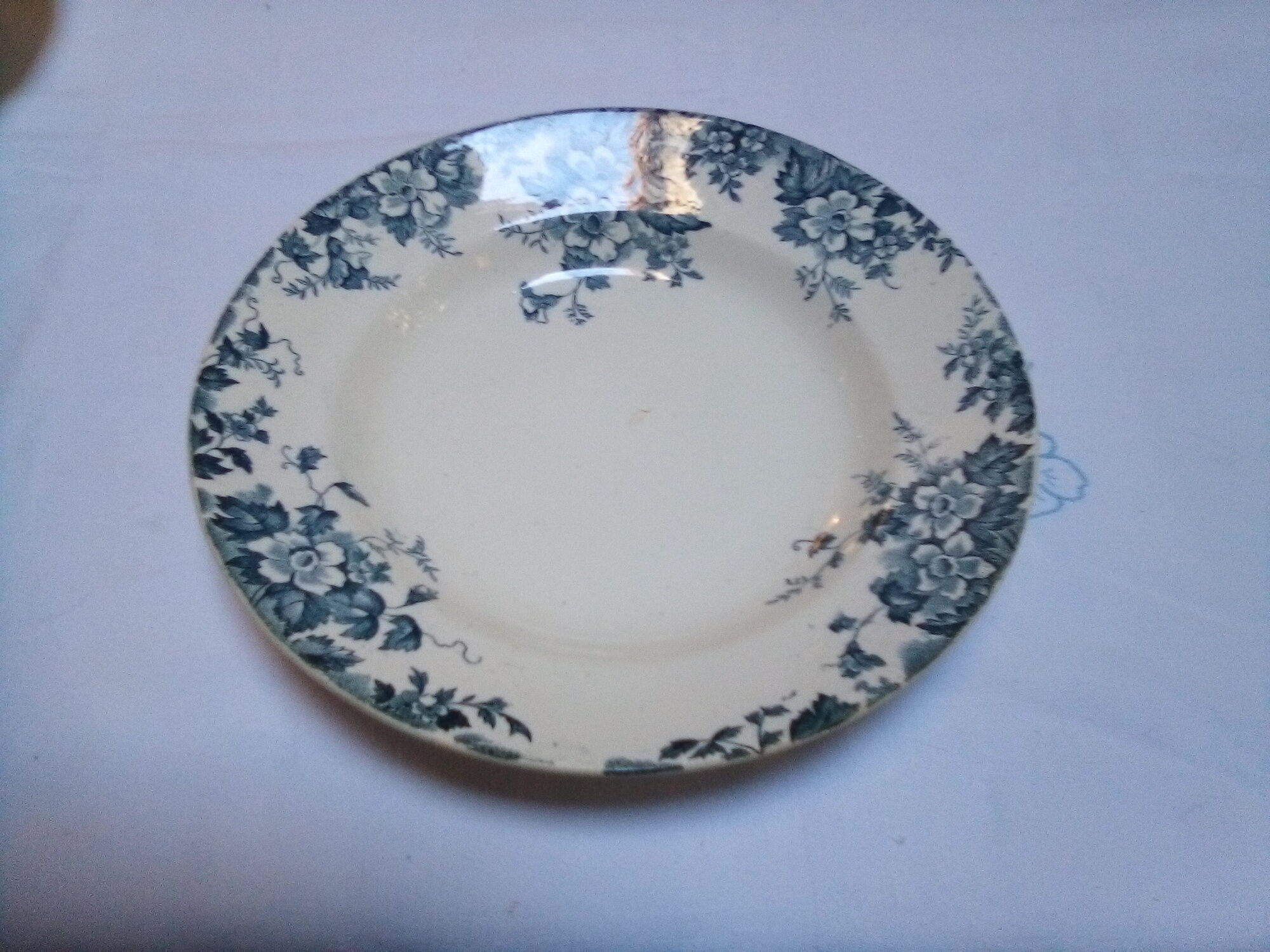 6 Marie Louise hollow plates / Hamage Wolf Mill