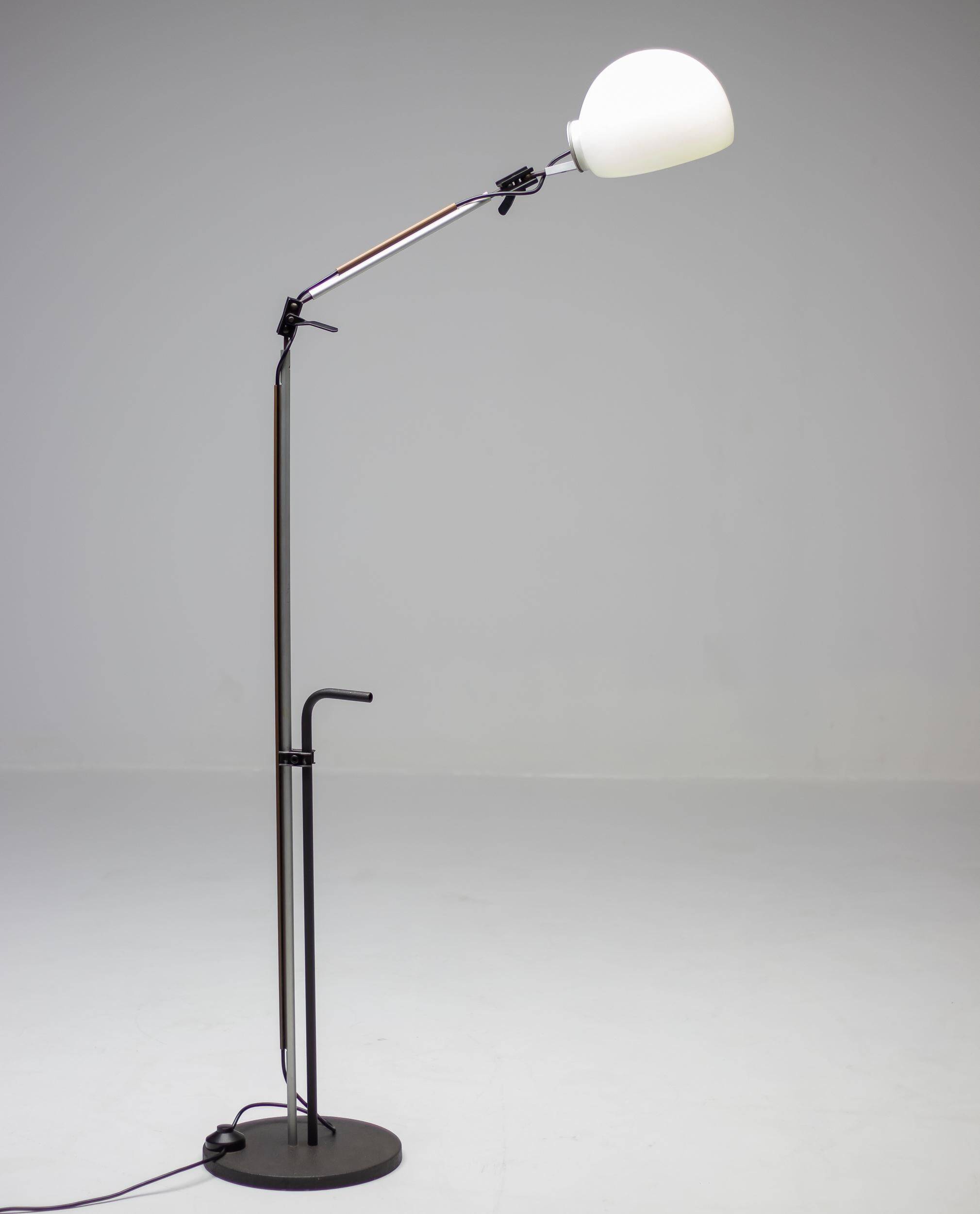 Enzo Mari G. Fassina Aggregato Floor Lamp Artemide Italian Design