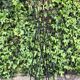Astrolabe coat rack 50