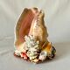 Lamp night light shell conch 1950 cabinet of curiosities seaside