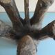 elephant stool plant holder vintage African art 50s