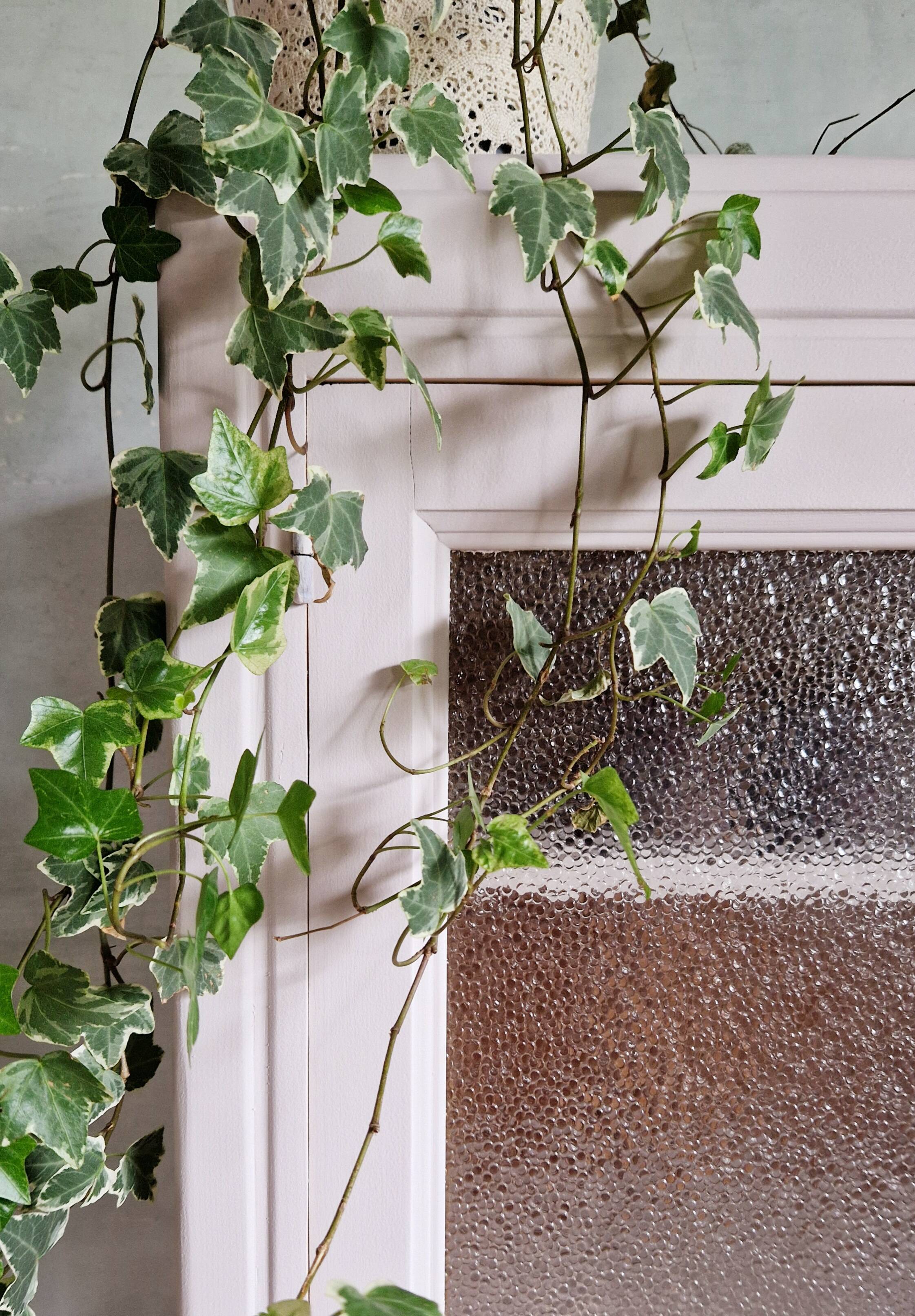 Beautiful vintage display cabinet