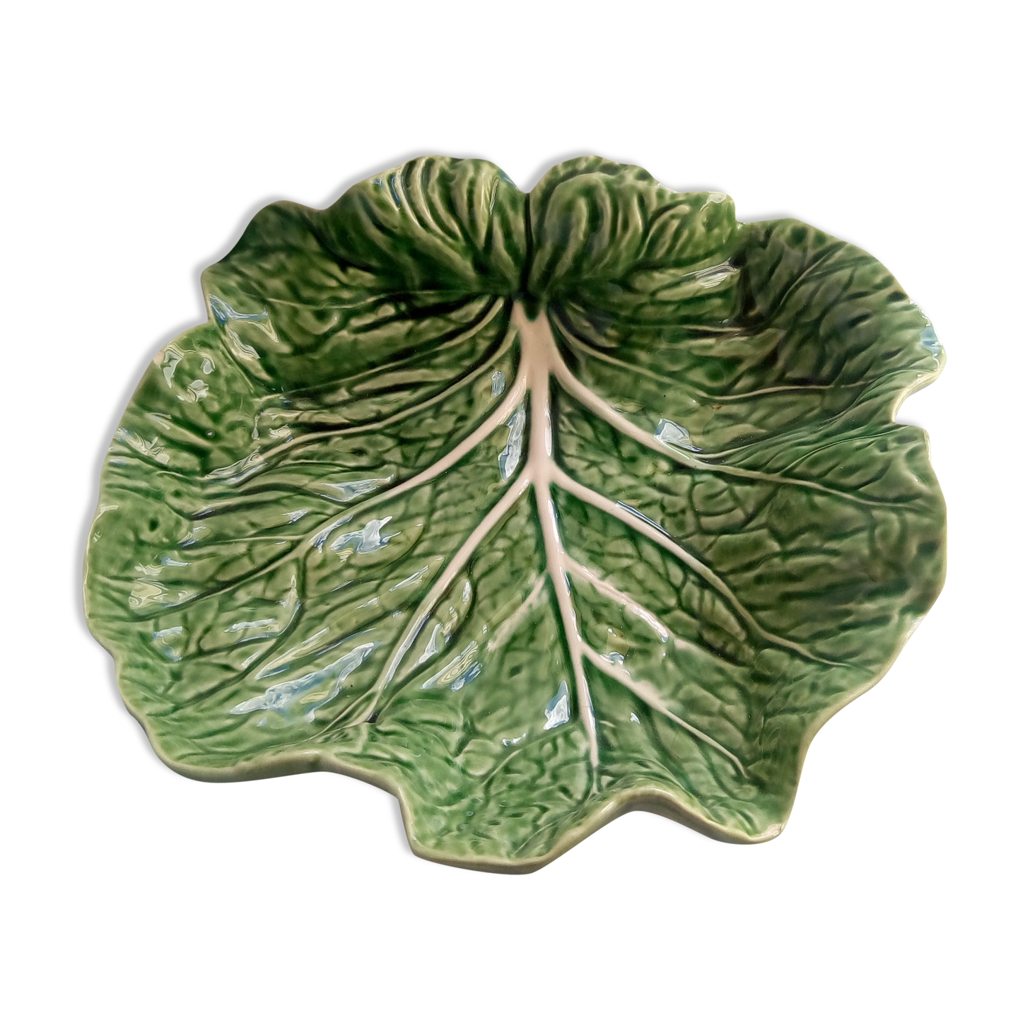 Saladier cabbage leaf in green dabbling