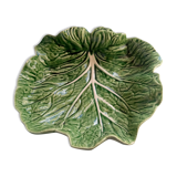 Saladier cabbage leaf in green dabbling