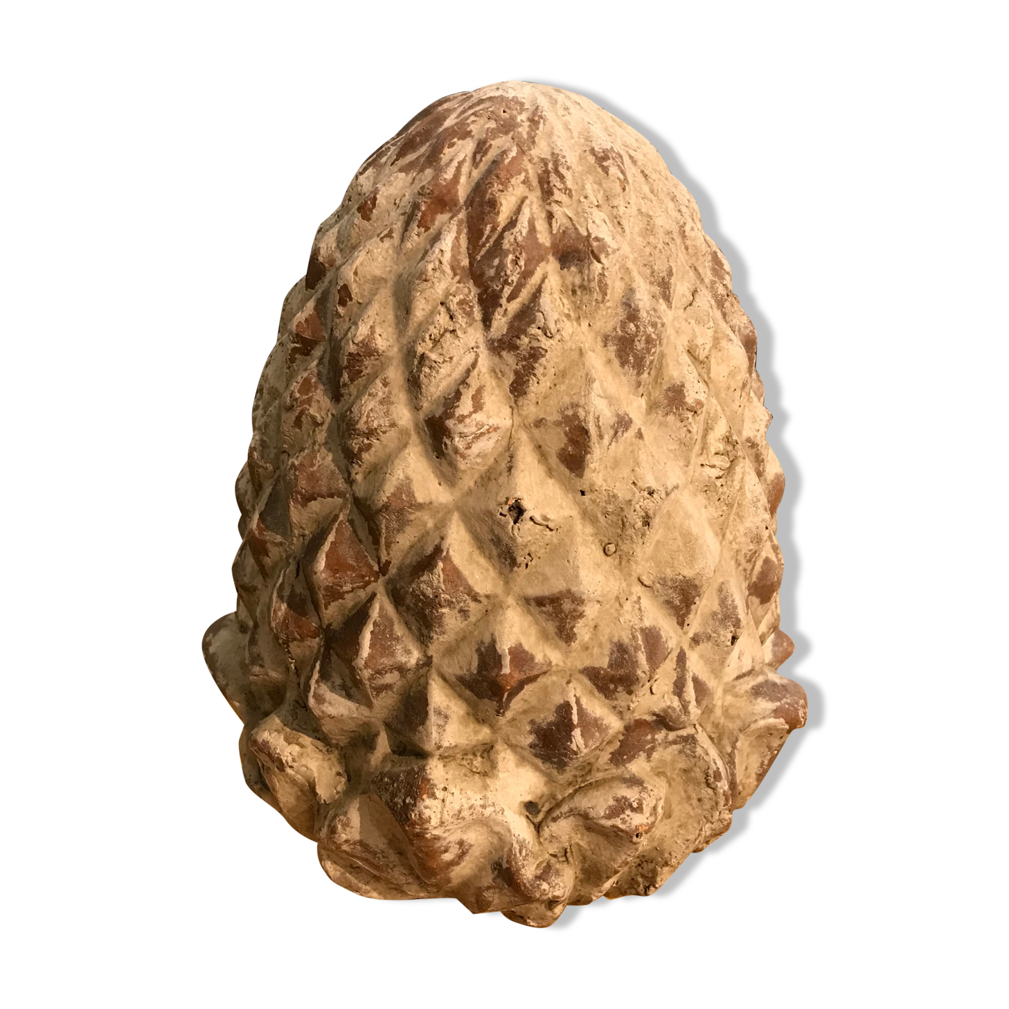 Cooked pine cone