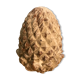 Cooked pine cone