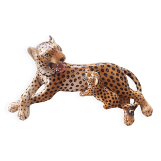 Cheetah with its cub