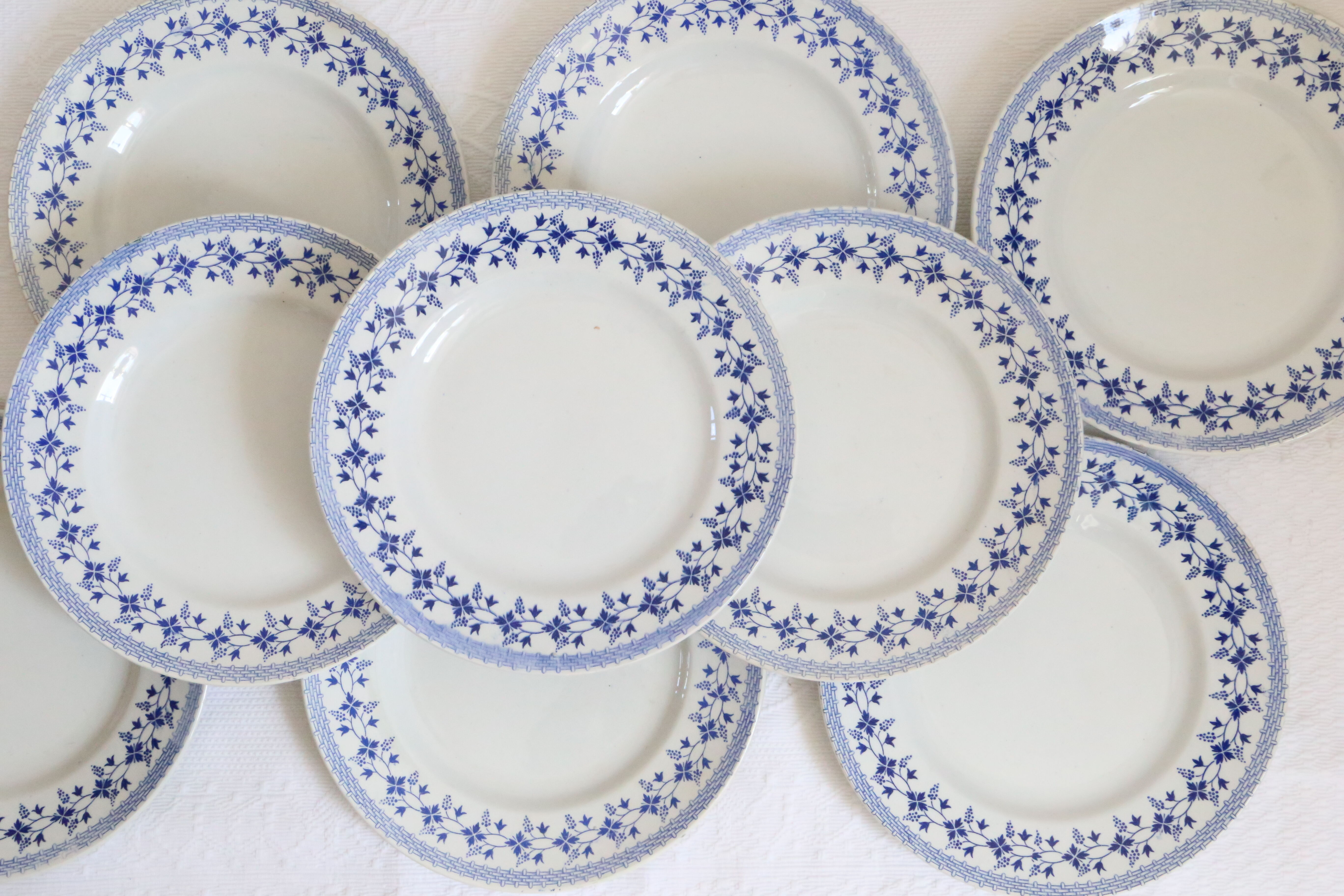 Ensemble de 9 assiettes plates, saint Amand, Bleuets, terre de fer