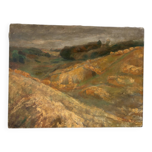Paysage ochre et brun,