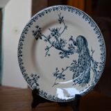 Iron earth peacock pattern service