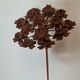 Iron flower
