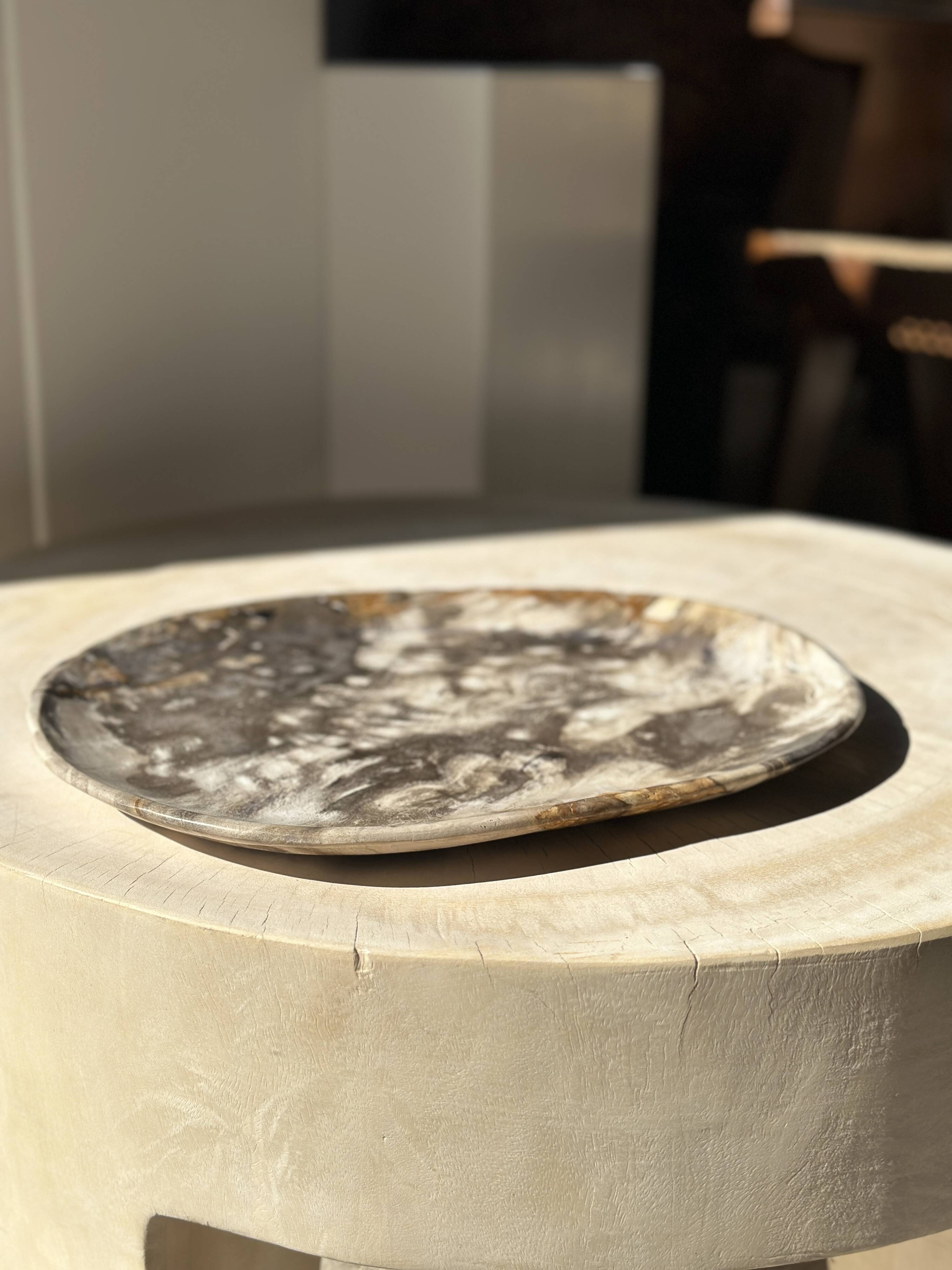 Very large empty pocket or dish in medium light petrified wood 1143