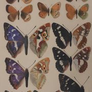 Roger metaye : papillons marrons et violets, aquarelle originale signée