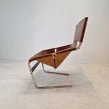 Set of 2 Model F444 Lounge Chairs by Pierre Paulin for Artifort, 1960s