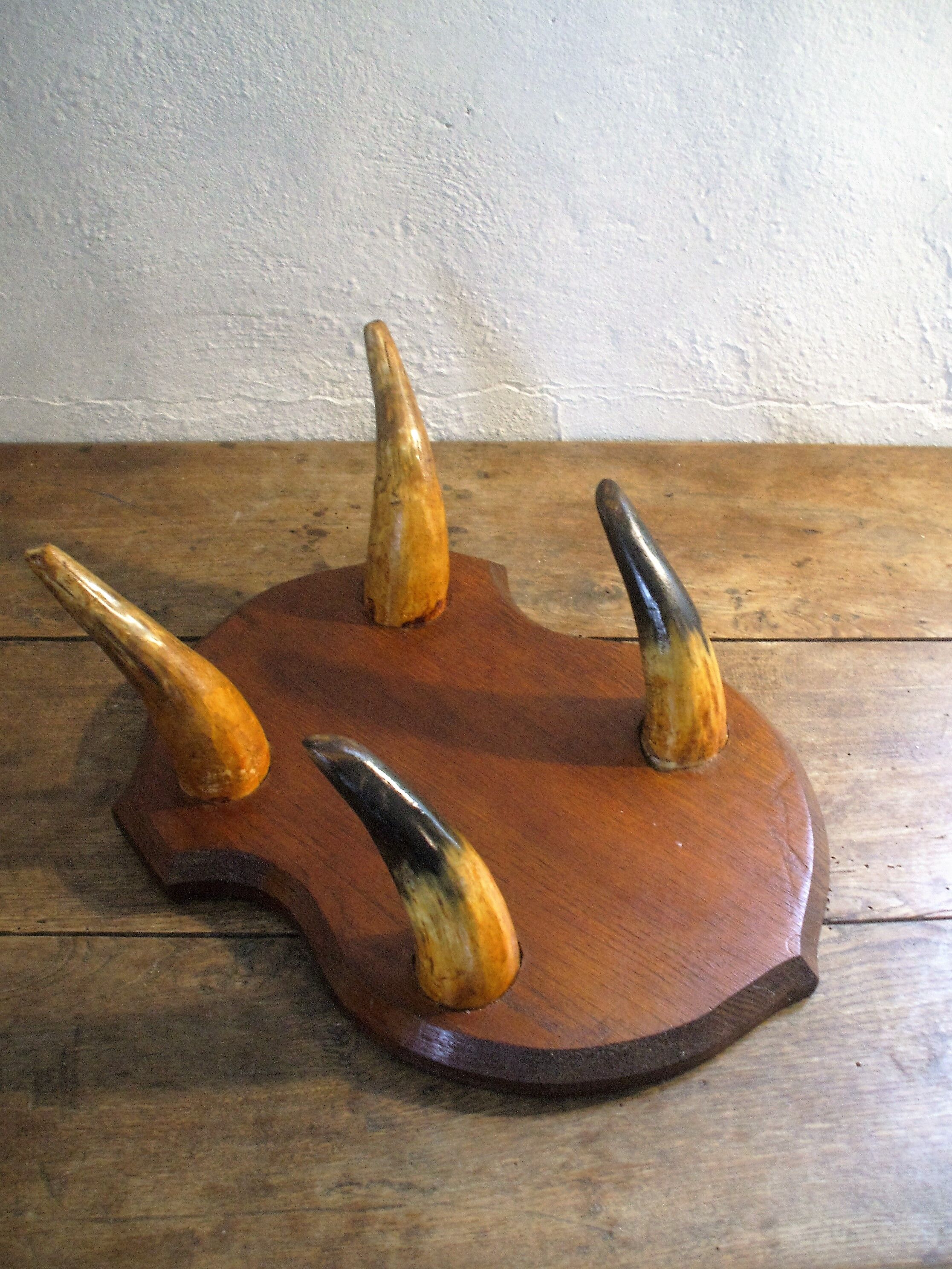 Coatrack in Horn