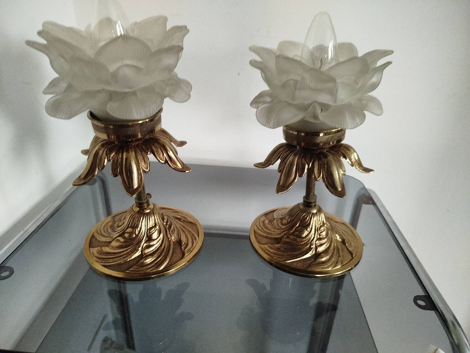 Pair of vintage floral wall lights or small pendant lights – glass deposition