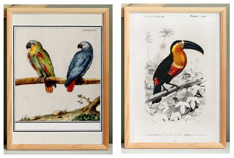 Set of two posters on birds reserved.