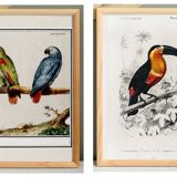 Set of two posters on birds reserved.
