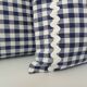 Set of 2 vintage cushions, blue gingham