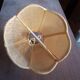 Apply in wicker flower petal