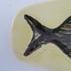 Cup or empty ceramic bag vintage fish