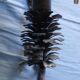 2 wall sconces pine cone branch lamps