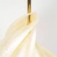 "Shell" lamp from Maison Rougier, Canada, 1970s.