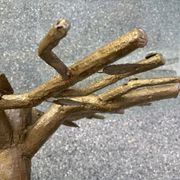 Table à manger en branche d'arbre, années 1980