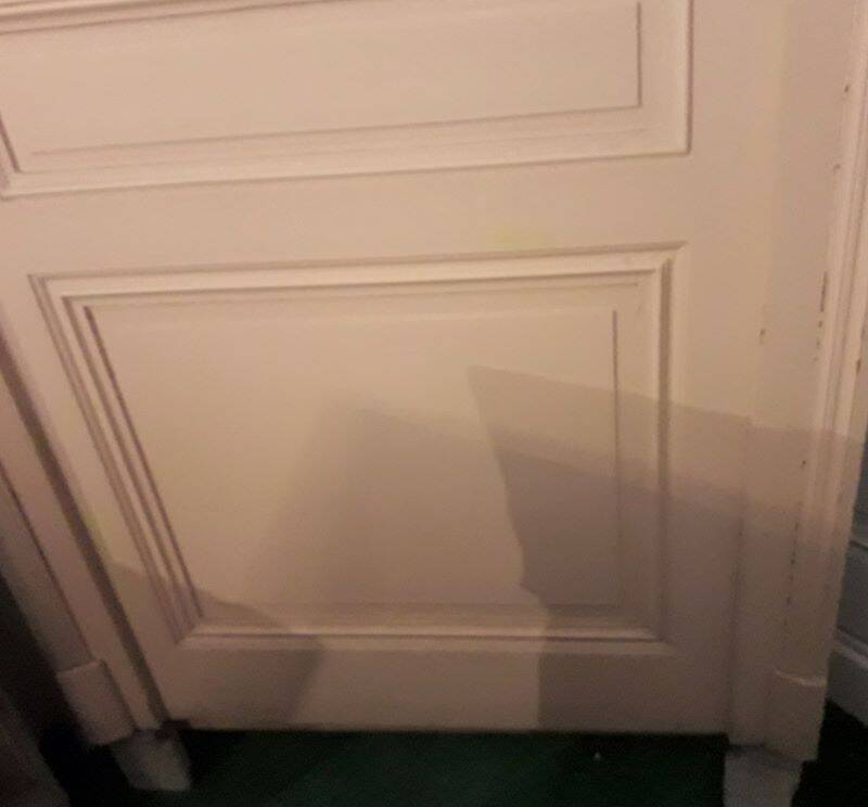 Haussmannian door 83x220 with old glazed transom frame 102x300 chassis