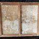 "Sunflowers" Oil on canvas signed