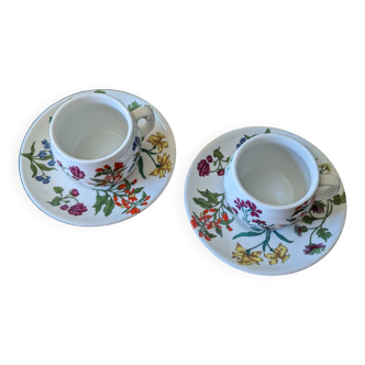 Pair of tea or coffee cups in Paris porcelain, Herbarium decor