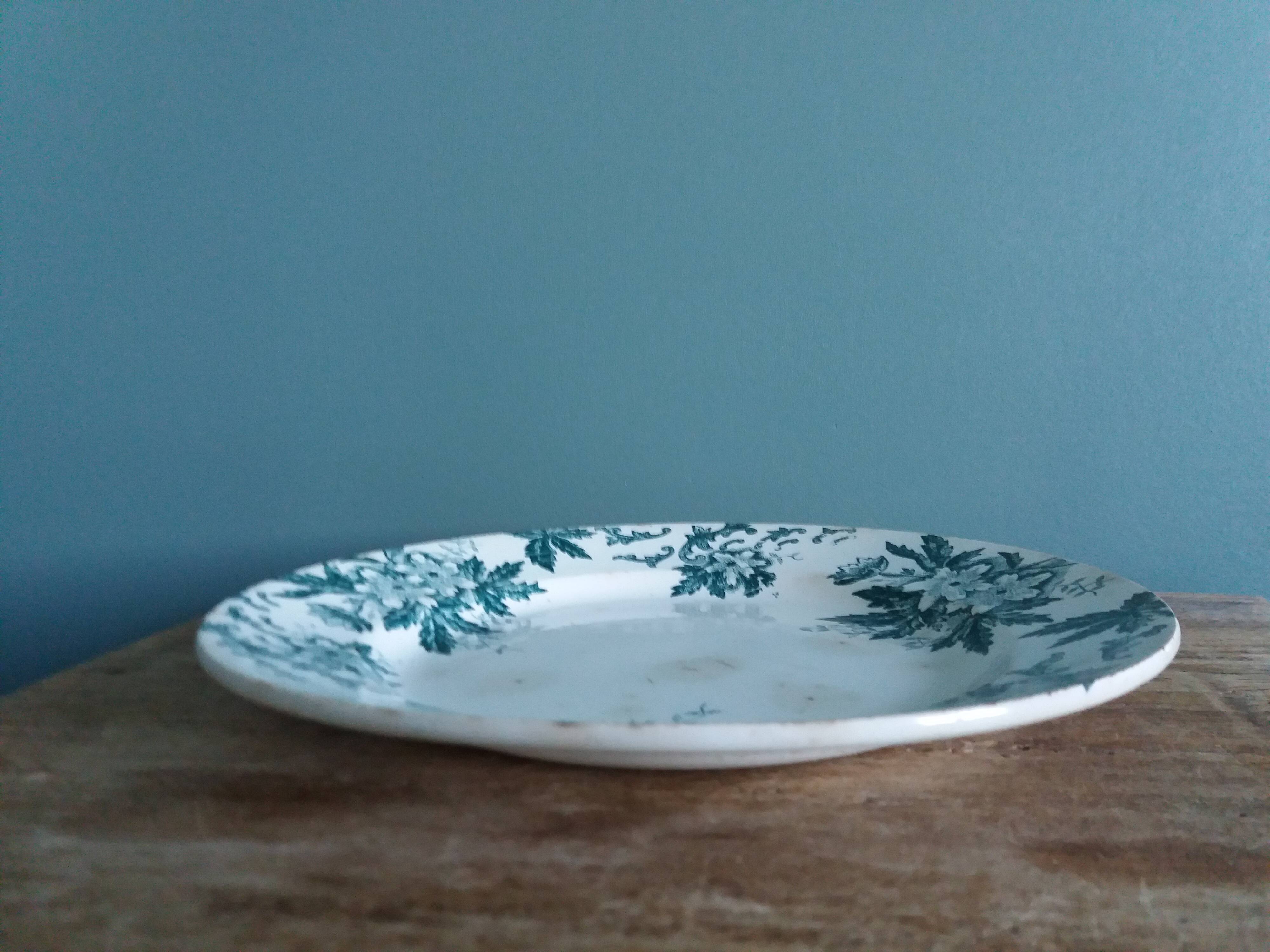Saint-Amand ironstone dinner plate with anemone green decoration