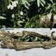 Magnificent Vintage Brass Mirror Candlestick - Baroque - Home Decor