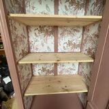 Parisian art deco wardrobe