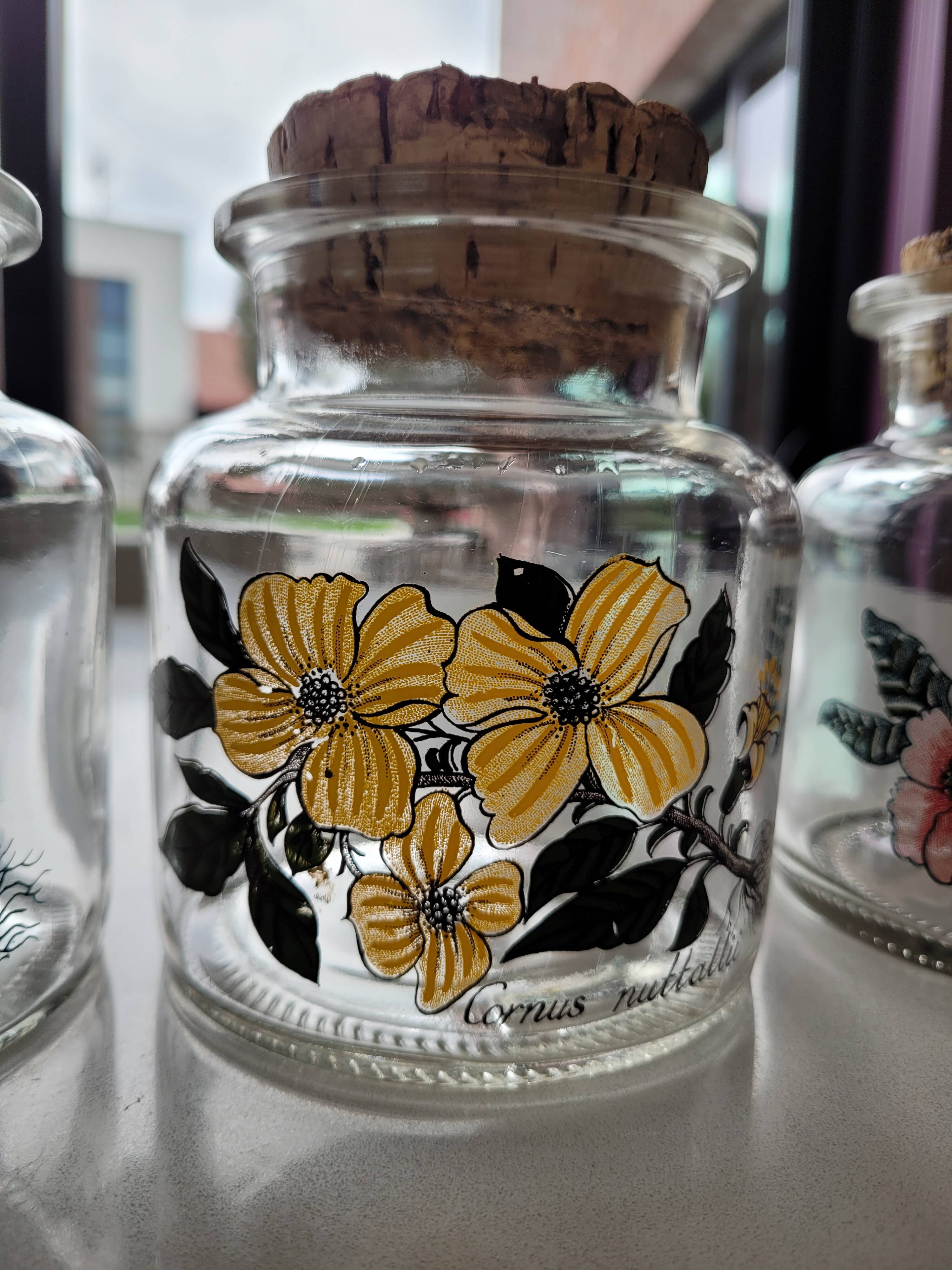 3 glass jars cork stopper