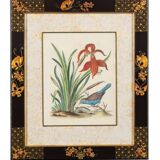 12 hand-coloured ornithological engravings from 1740 by George Edwards.