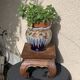 Plant holder, wooden saddle, old base