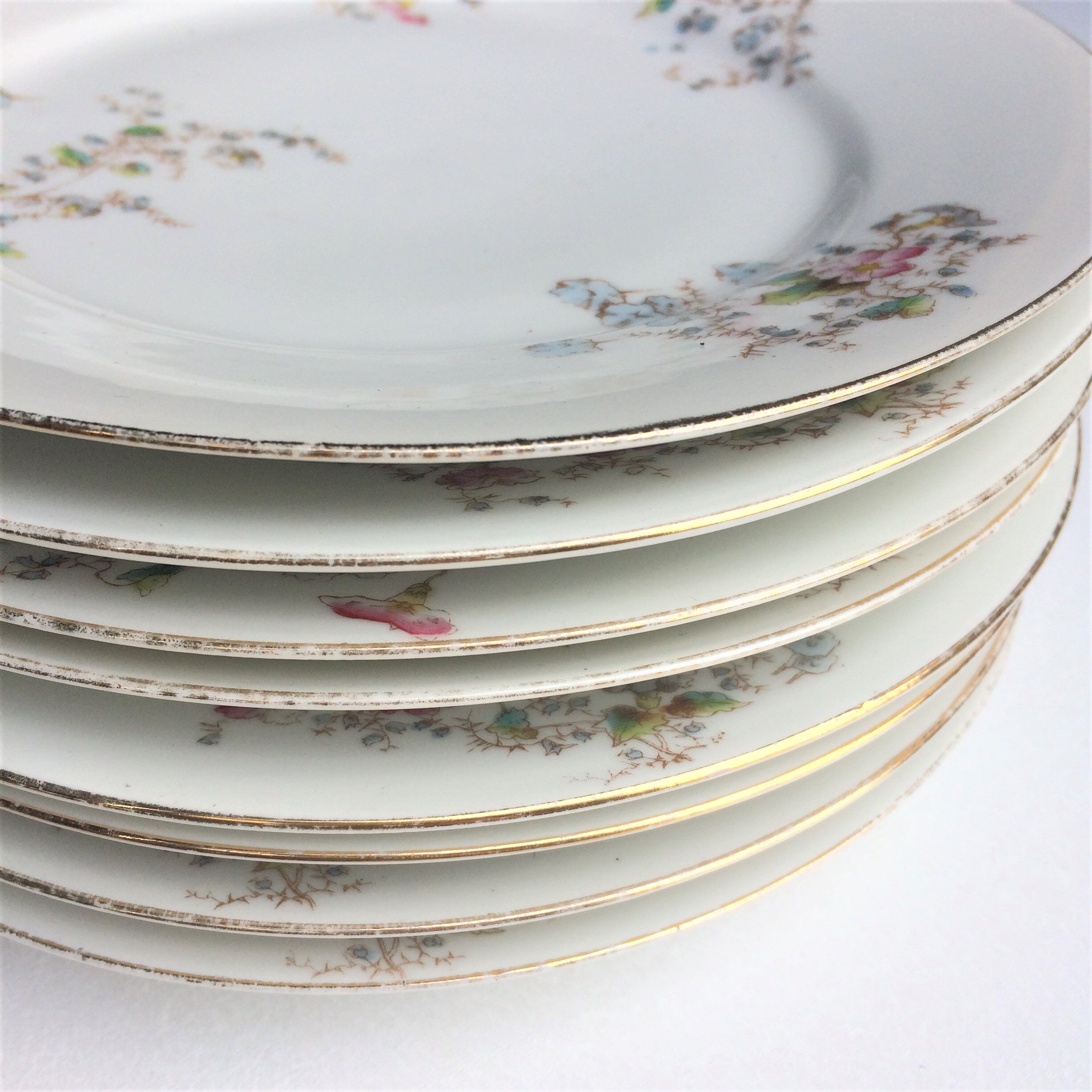 Porcelain plates from Limoges